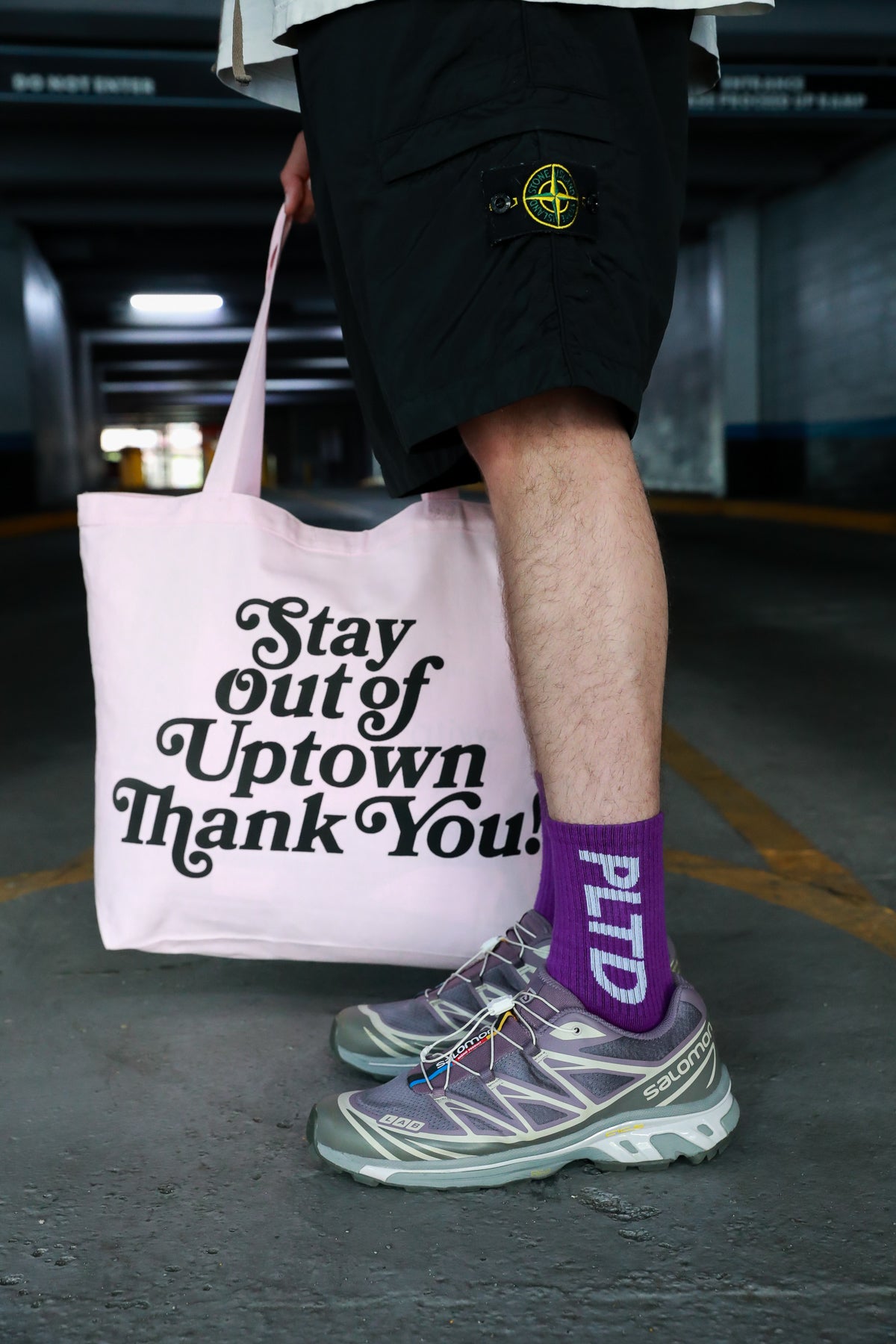 Team PLTD - Barney Socks