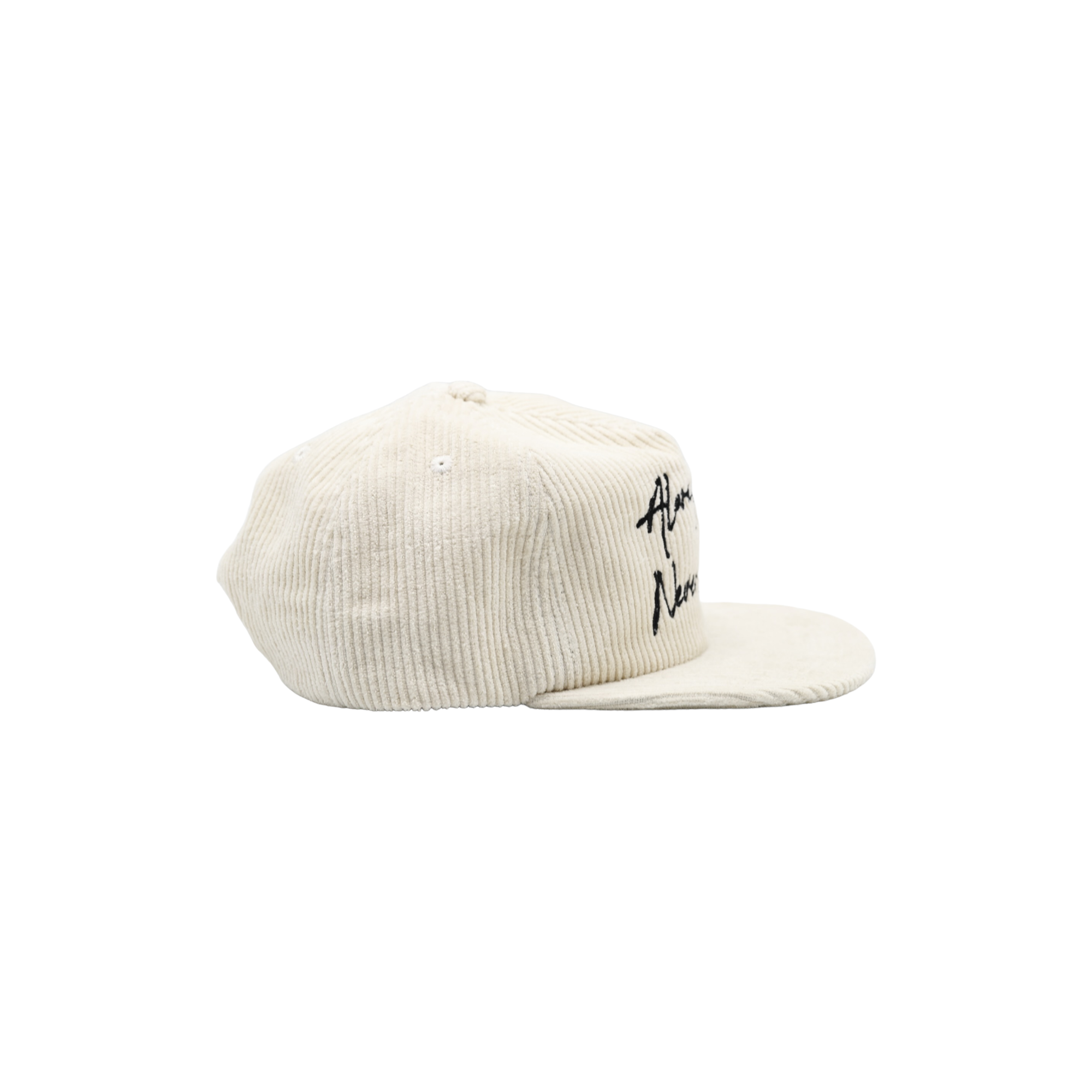 Always Us, Never Them - Bone Corduroy Painters Cap